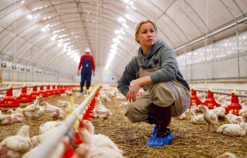 Poultry Farm Operator